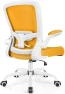 Превью Ergonomic Mesh Office Chair with Adjustable Lumbar Support and Flip-up Armrests — Smart Chairs, FelixKing