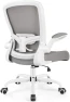 Превью Ergonomic Mesh Office Chair with Adjustable Lumbar Support and Flip-up Armrests — Smart Chairs, FelixKing