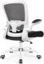 Превью Ergonomic Mesh Office Chair with Adjustable Lumbar Support and Flip-up Armrests — Smart Chairs, FelixKing
