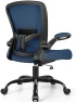 Превью Ergonomic Mesh Office Chair with Adjustable Lumbar Support and Flip-up Armrests — Smart Chairs, FelixKing