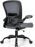 Превью Ergonomic Mesh Office Chair with Adjustable Lumbar Support and Flip-up Armrests — Smart Chairs, FelixKing