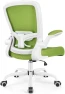 Превью Ergonomic Mesh Office Chair with Adjustable Lumbar Support and Flip-up Armrests — Smart Chairs, FelixKing