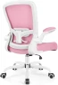 Превью Ergonomic Mesh Office Chair with Adjustable Lumbar Support and Flip-up Armrests — Smart Chairs, FelixKing