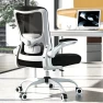 Превью Ergonomic Office Chair - High Back Desk Chair with Adjustable Lumbar Support, Breathable Mesh Back, 330LBS Capacity,... — Smart Chairs, Zeonsit
