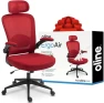 Превью Ergonomic Office Chair — Smart Chairs, Oline
