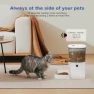 Превью Automatic Pet Feeder — Automatic Pet Feeder, ANDOLL HOME
