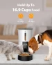 Превью Timed Automatic Dry Food Dispenser — Automatic Pet Feeder, Petory