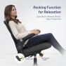 Превью Desk Chair for Long Hours & Lower Back Pain Relief — Smart Chairs, QLTPLUS