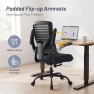 Превью Desk Chair for Long Hours & Lower Back Pain Relief — Smart Chairs, QLTPLUS