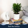 Превью Smart Fan – Ultra-Quiet 2-in-1 Air Circulator with Remote — Smart Fan, Windmill