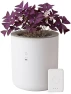 Превью Smart Self Watering Planter with WiFi Bridge & App Control — Indoor Garden, LeafyPod