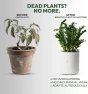 Превью Smart Self Watering Planter with WiFi Bridge & App Control — Indoor Garden, LeafyPod
