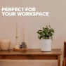 Превью Smart Self Watering Planter with WiFi Bridge & App Control — Indoor Garden, LeafyPod
