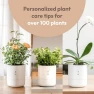 Превью Smart Self Watering Planter with WiFi Bridge & App Control — Indoor Garden, LeafyPod