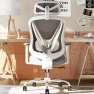 Превью Ergonomic Mesh Office Chair with 3D Adjustable Lumbar Support and 3D Armrests, V-Shaped Back, Adjustable Desk Chair for... — Smart Chairs, HOLLUDLE