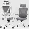 Превью Ergonomic Mesh Office Chair with 3D Adjustable Lumbar Support and 3D Armrests, V-Shaped Back, Adjustable Desk Chair for... — Smart Chairs, HOLLUDLE