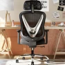 Превью Ergonomic Mesh Office Chair with 3D Adjustable Lumbar Support and 3D Armrests, V-Shaped Back, Adjustable Desk Chair for... — Smart Chairs, HOLLUDLE