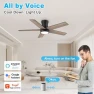 Превью Low Profile Ceiling Fan with Lights — Smart Fan, Lorpies