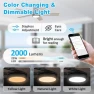 Превью Low Profile Ceiling Fan with Lights — Smart Fan, Lorpies