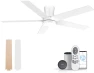 Превью Low Profile Ceiling Fan with Lights — Smart Fan, Lorpies