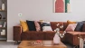 Превью 7-Day Programmable Thermostat — Smart Thermostat, Honeywell Home