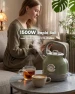 Превью Retro Electric Tea Kettle with Thermometer — Electric Kettle, Amaste