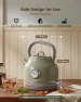 Превью Retro Electric Tea Kettle with Thermometer — Electric Kettle, Amaste