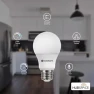 Превью Smart LED Bulb 60W A19, Wi-Fi Dimmable — Smart Light Bulb, Ceybo