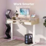 Превью Electric Standing Desk with 2 Drawers & Large Keyboard Tray — Standing Desk, HUANUO