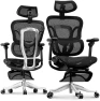 Превью Ergonomic Office Chair with Footrest — Smart Chairs, FLEXISPOT