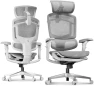Превью Ergonomic Office Chair with Footrest — Smart Chairs, FLEXISPOT