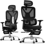 Превью Ergonomic Office Chair with Footrest — Smart Chairs, FLEXISPOT