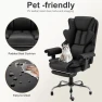 Превью Ergonomic Office Chair with Heated Massage Function — Massage Chairs, ALYEEPLOR