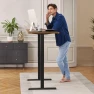 Превью Dual Motor Standing Desk Frame — Standing Desk, ErGear