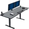 Превью Electric Dual Motor Sit Stand Desk — Standing Desk, VIVO