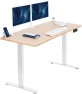 Превью Electric Dual Motor Sit Stand Desk — Standing Desk, VIVO