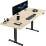Превью Electric Dual Motor Sit Stand Desk — Standing Desk, VIVO