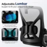 Превью Ergonomic Desk Chair with Adjustable Lumbar Support — Smart Chairs, Nexthro