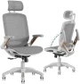 Превью Ergonomic Office Chair with Footrest — Smart Chairs, GABRYLLY