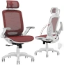 Превью Ergonomic Office Chair with Footrest — Smart Chairs, GABRYLLY