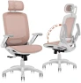 Превью Ergonomic Office Chair with Footrest — Smart Chairs, GABRYLLY