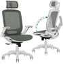 Превью Ergonomic Office Chair with Footrest — Smart Chairs, GABRYLLY