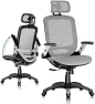 Превью Ergonomic Office Chair with Footrest — Smart Chairs, GABRYLLY