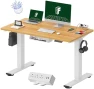 Превью Whole-Piece Standing Desk with Clamp Power Strip, 55 x 28 — Standing Desk, FLEXISPOT