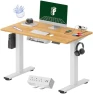 Превью Whole-Piece Standing Desk with Clamp Power Strip, 55 x 28 — Standing Desk, FLEXISPOT