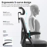 Превью Ergonomic Desk Chair with Adjustable Lumbar Support — Smart Chairs, Nexthro