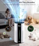 Превью Air Purifier for Large Room up to 1800 Ft² — Air Purifier, ECOSELF