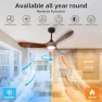 Превью Outdoor Ceiling Fan with Light and Remote via WiFi Alexa — Smart Fan, Homlit