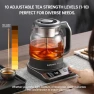 Превью 120V Titanium & Glass Electric Tea Kettle — Electric Kettle, Lunowa Haus