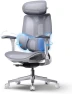 Превью E3 Pro 2026 Edition Ergonomic Office Chair, Mesh Desk Chair with 3-Zone Floating Lumbar Support, Upgraded 4D Headrest,... — Smart Chairs, Hbada